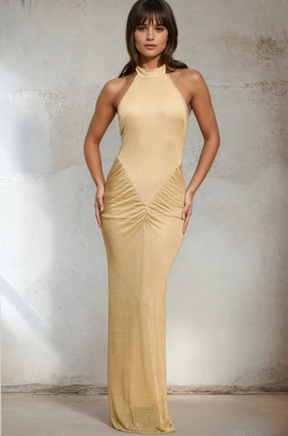 Metallic Mesh Long Dress