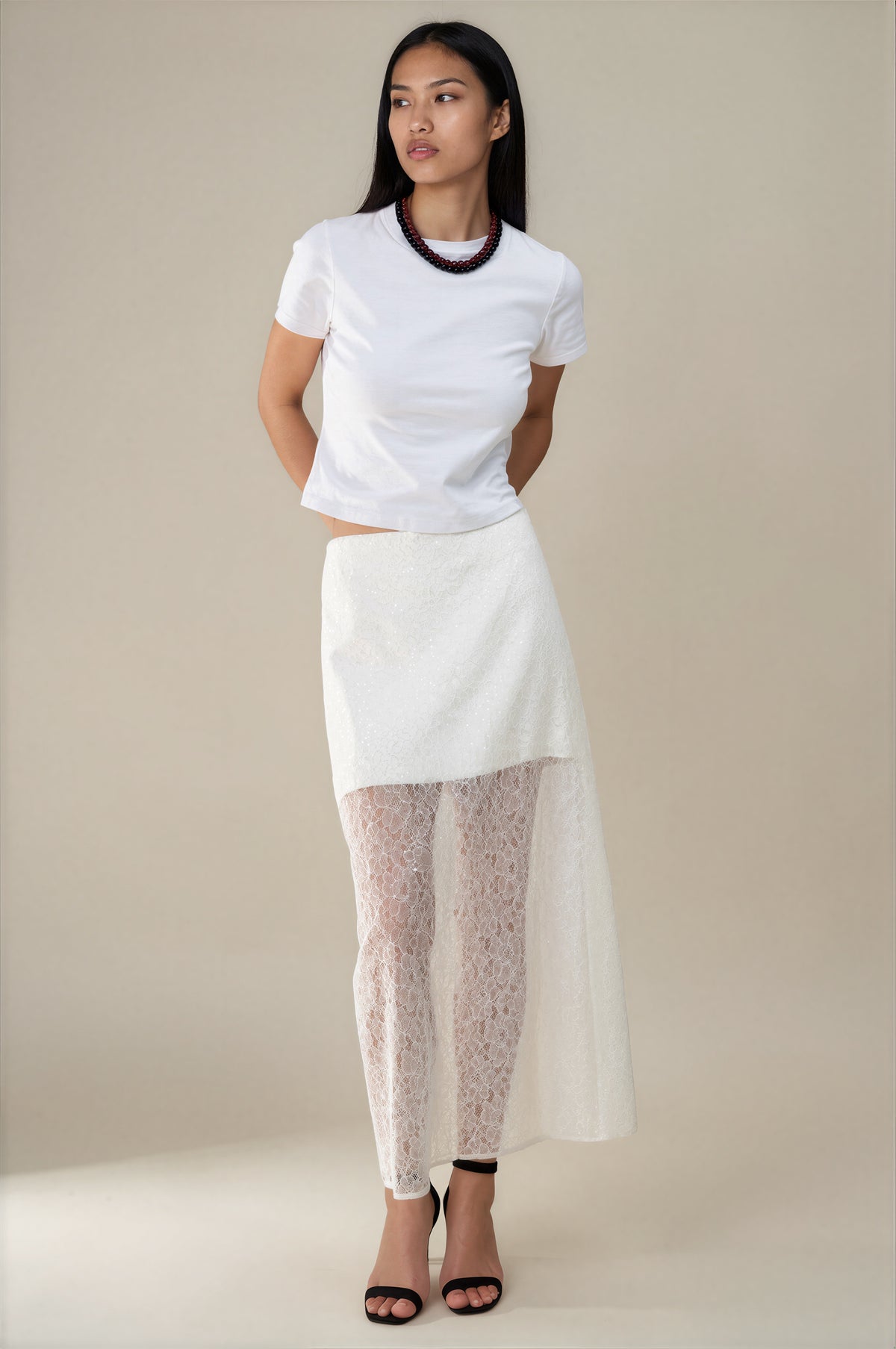 Sheer Lace Skirt