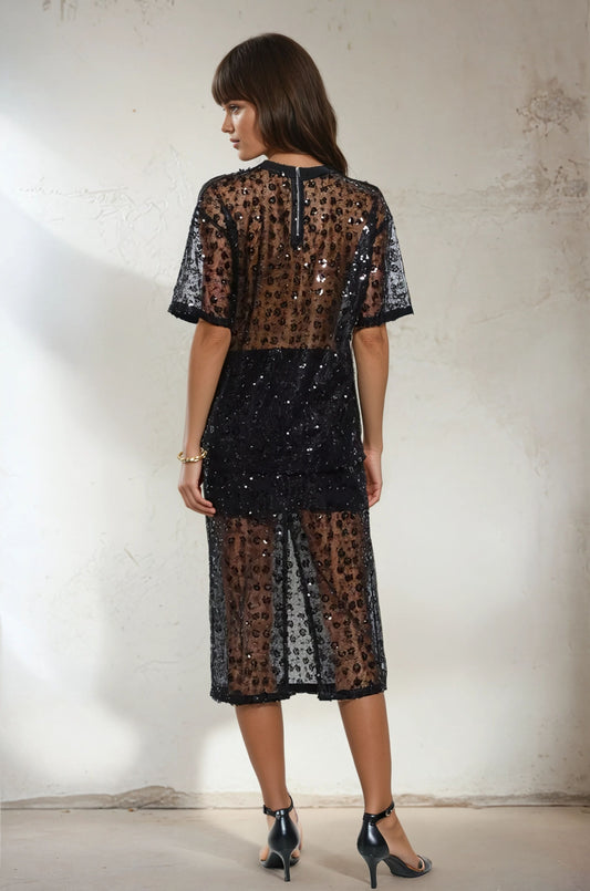 The Magda Sheer Sequin Top