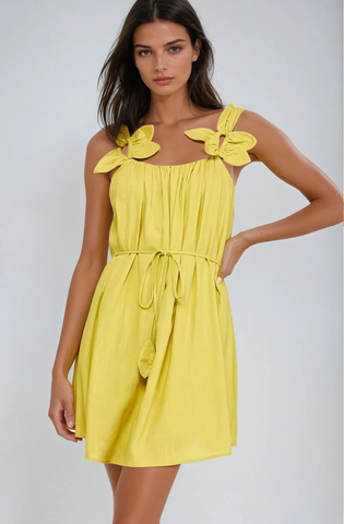 The Estelar Mini Dress